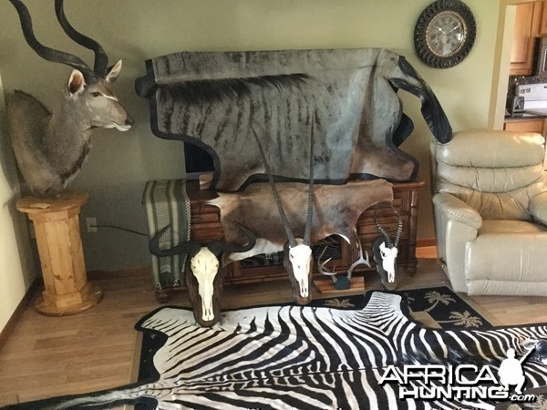 Trophies from 2014 Safari hunt with Limcroma