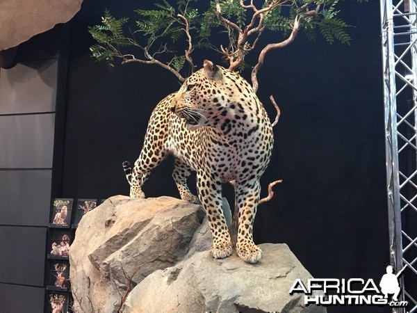 Taxidermy at Safari Club International Convention