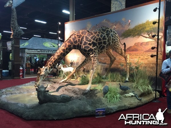 Taxidermy at Safari Club International Convention