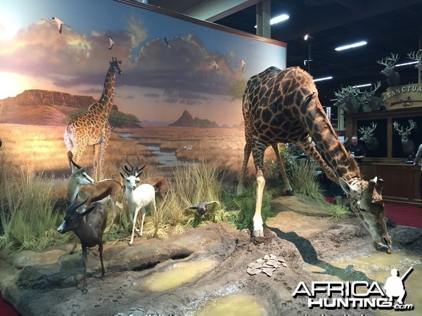 Taxidermy at Safari Club International Convention