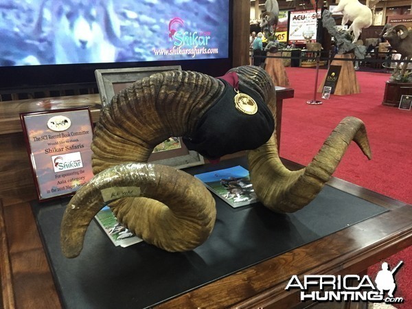 Taxidermy at Safari Club International Convention