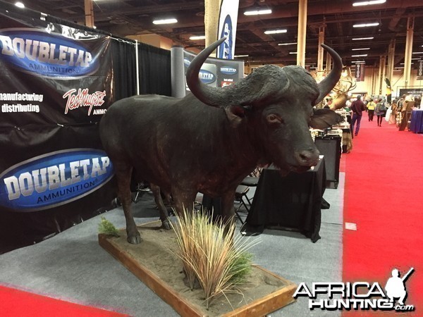 Taxidermy at Safari Club International Convention