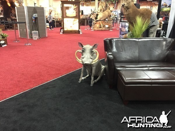 Taxidermy at Safari Club International Convention