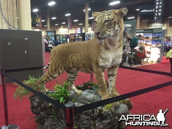 Taxidermy at Safari Club International Convention