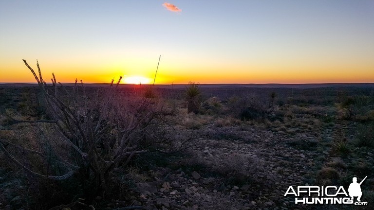 First Morning in New Mexico