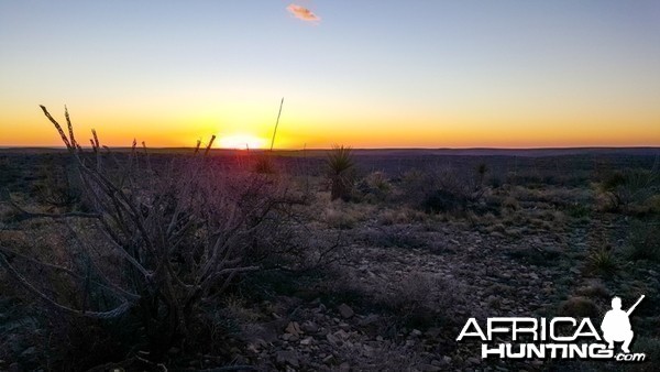 First Morning in New Mexico