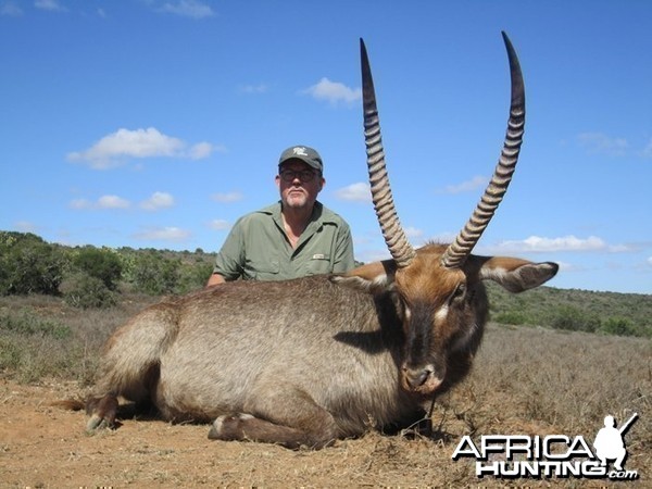 Beautiful Waterbuck Trophy