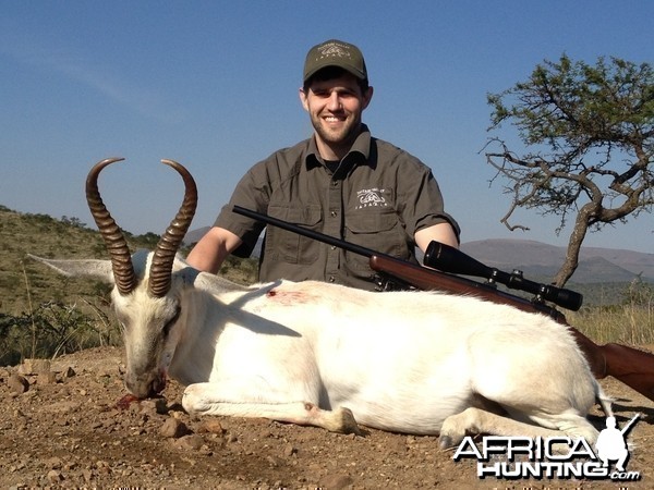 White Springbok