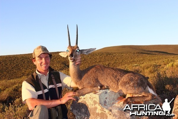 Mountain Reedbuck