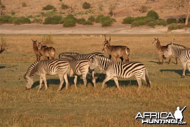 Classic Safaris in Caprivi Namibia