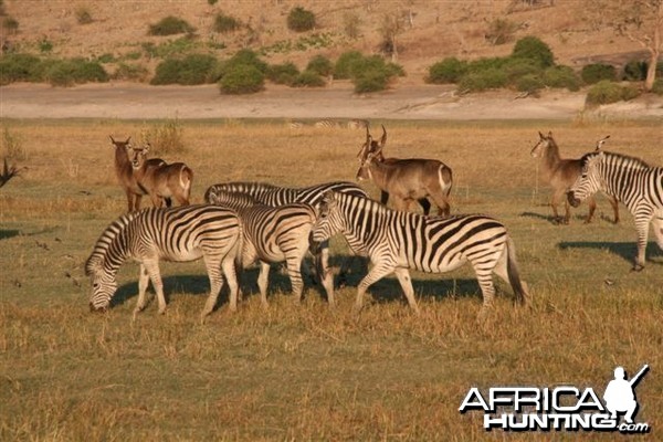 Classic Safaris in Caprivi Namibia