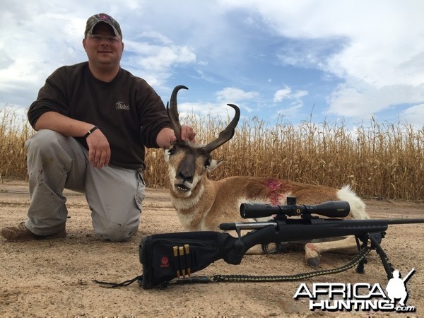 Texas panhandle pronghorn with Rockin G Ranch