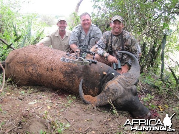 Nile Buffalo Hunt in Uganda