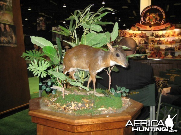 Safari Club International Convention - SCI