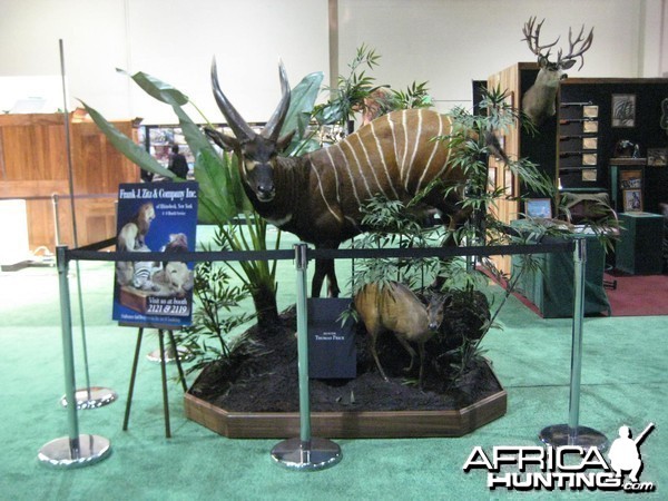 Safari Club International Convention - SCI