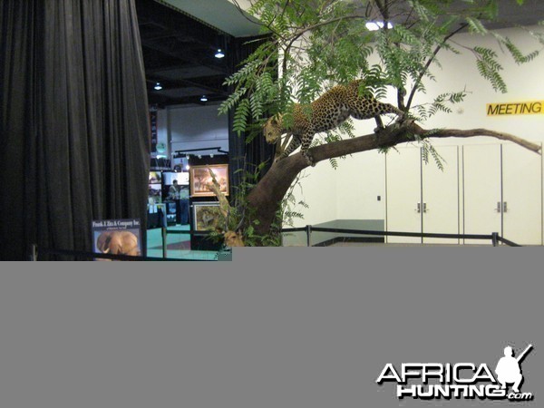 Safari Club International Convention - SCI