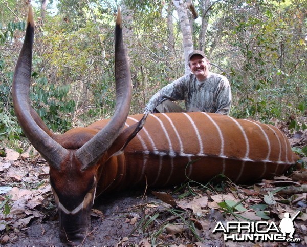 Hunting Bongo in C.A.R.