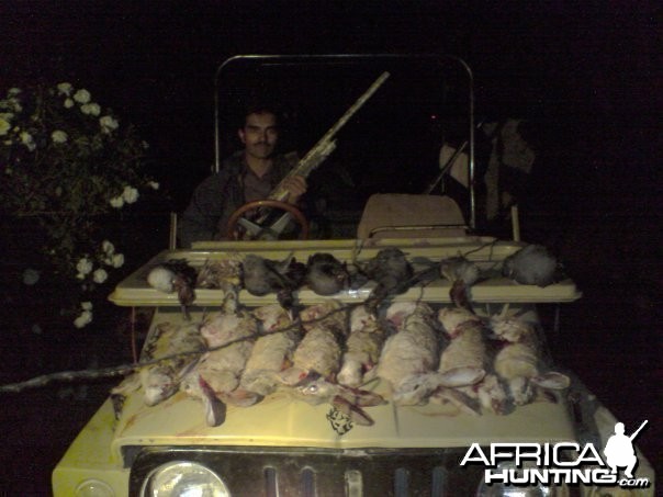 Hunting Rabbits in Pakistan