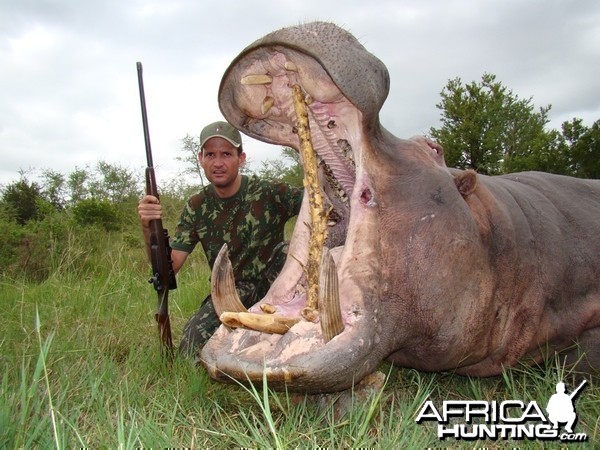 Hippo hunt with Leeukop Safaris