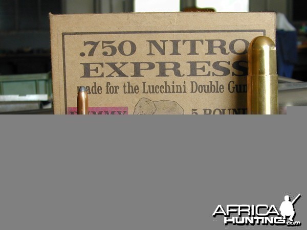 Double Rifle 750 Nitro Express made by Armitalia di Lucchini Sandro &amp; C