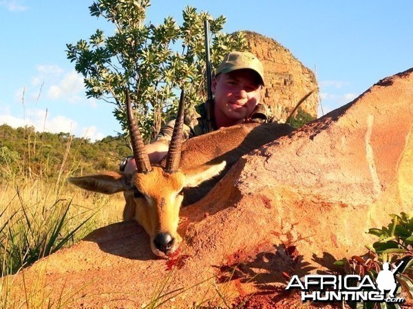 Mountain Reedbuck