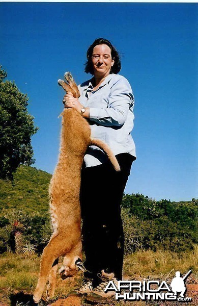 Hunting Caracal with Hounds in the Eastern Cape