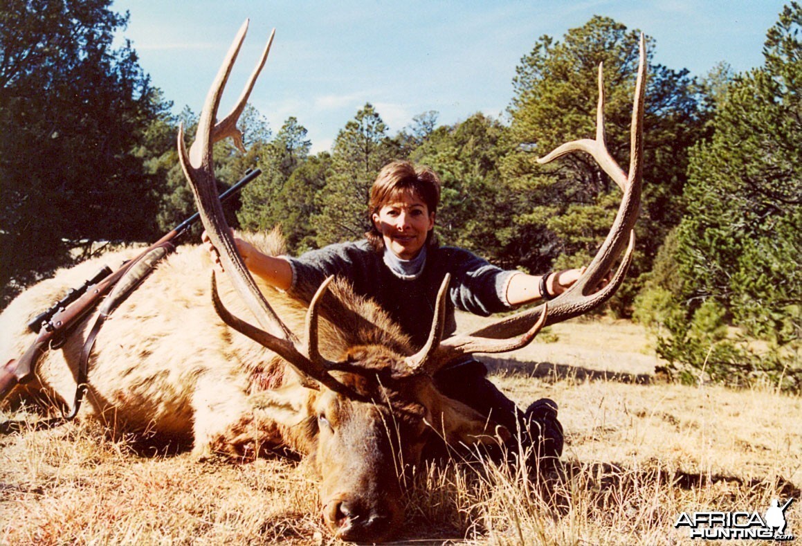 Elk '03 - New Mexico