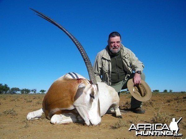 Scimitar-horned Oryx - hunted in South Africa