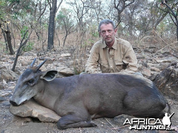 Yellow Back Duiker hunted in CAR with Safaria