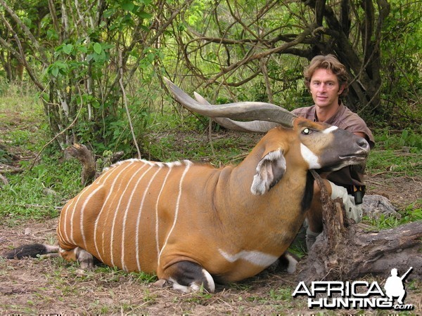 Bongo Hunted in CAR