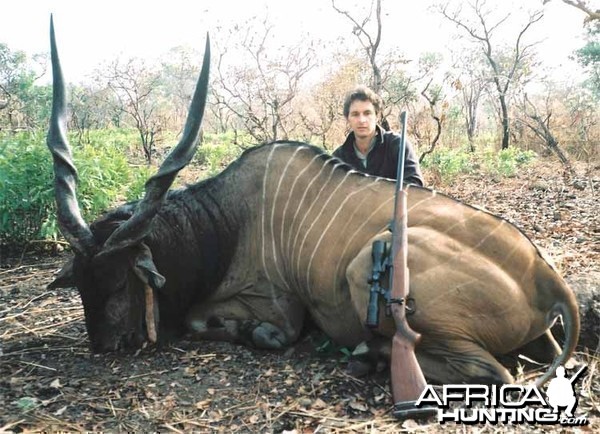 Big Giant eland hunted in CAR
