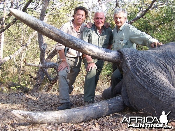 Big Elenpahnt hunted in Tanzania