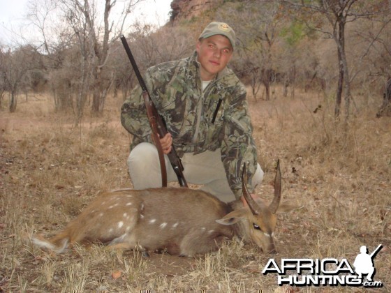 Bushbuck