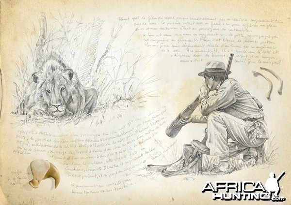 Wildlife Artist Marcello Pettineo - Lion Calling