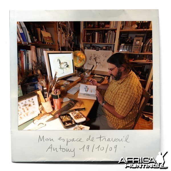 Wildlife Artist Marcello Pettineo - In His Studio