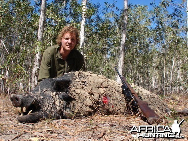 Trophy Boar Hunted in Australia