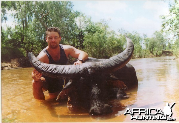 Asiatic buffalo bull, Arnhemland, Australia