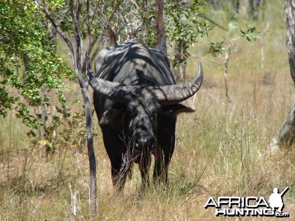 Arnhemland scenery &amp; wildlife.