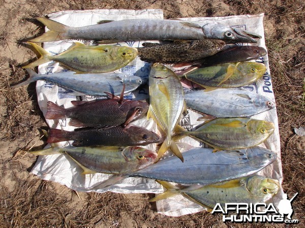 Arnhemland scenery &amp; wildlife.