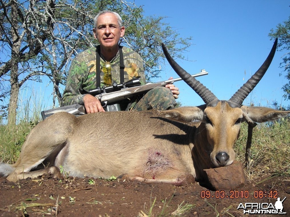 Common Reedbuck