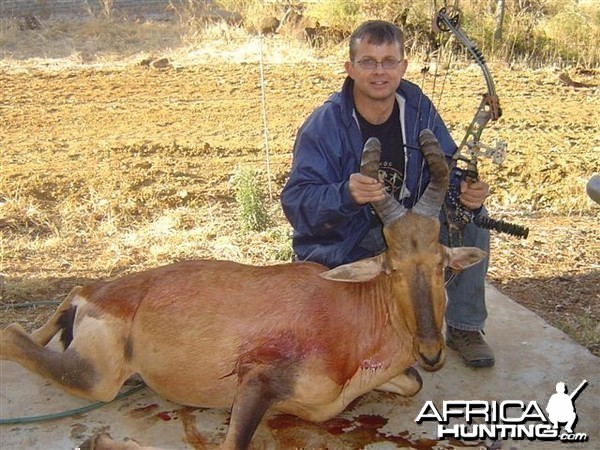 Hartebeest - Bushwack Safaris