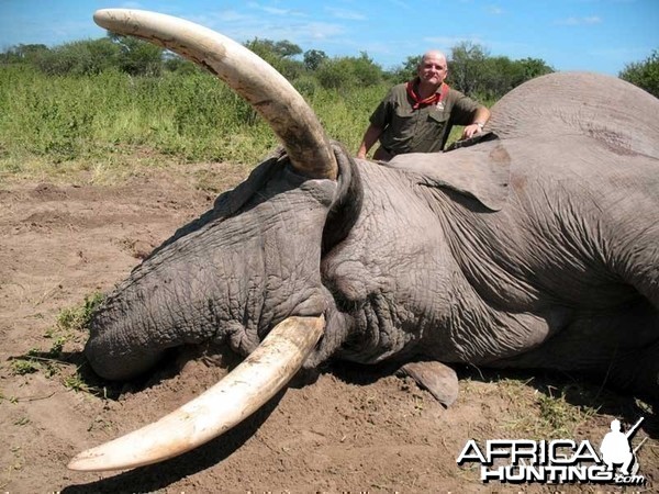 104 &amp; 99 pound tusker taken with Johan Calitz Safaris in Botswana