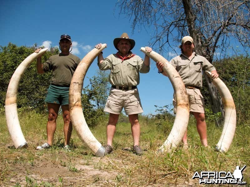 104 &amp; 60 pound tuskers - Johan Calitz Safaris - PH Willy McDonald
