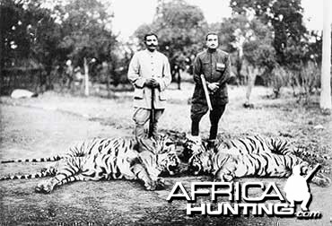 Tiger Hunting in India