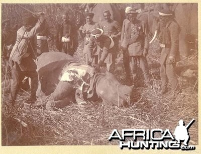 Rhino Hunting in India