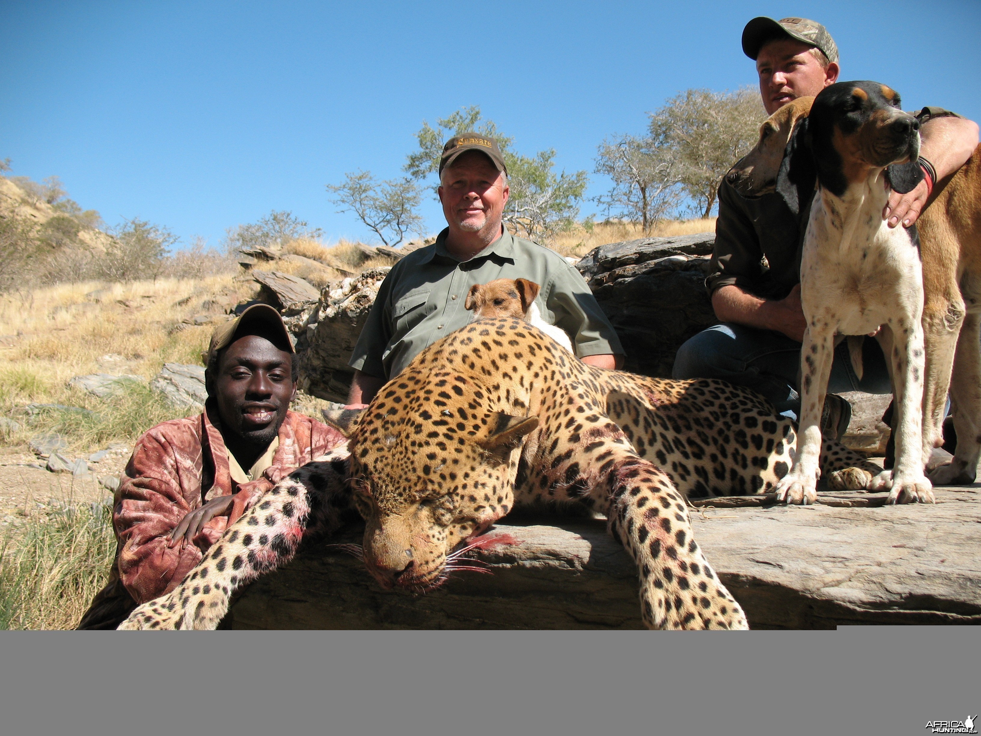 Brad Smith from Texas with Monster Leopard in Namibia