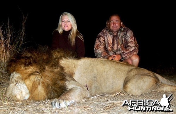 Lion Hunted In Zambia