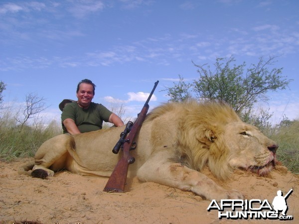 Lion hunted in South Africa