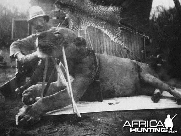 Colonel John Henry Patterson, Lion fallen, 9 feet 8 inches in length