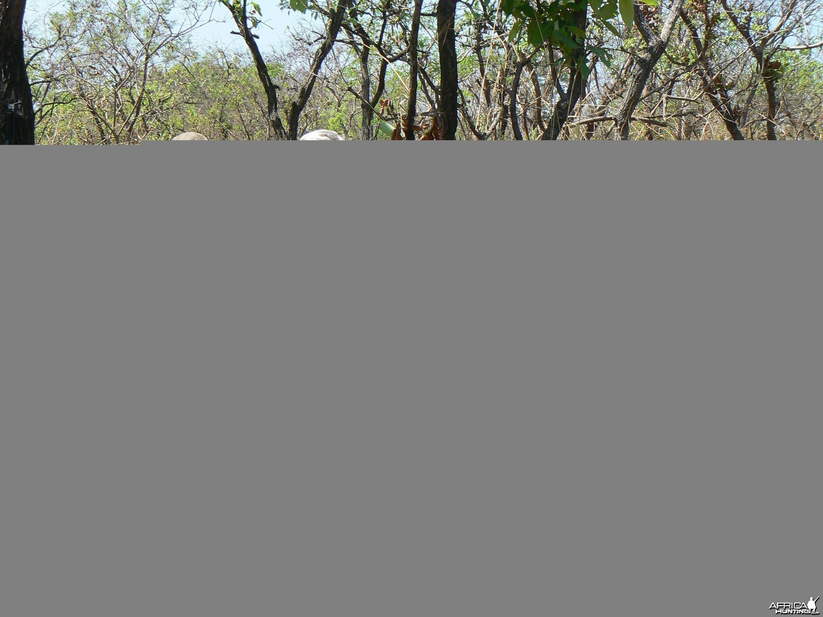 Lelwel hartebeest hunted in Central African Republic